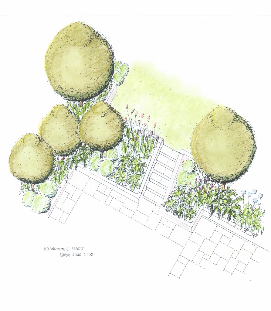 Robin Ideson Design Focus - Garden Level Change - Slope and Steps