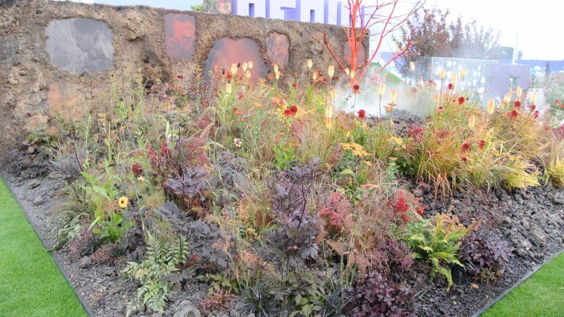 Wrath garden at Hampton Court Flower Show 2014. Design by Nilufer Danis